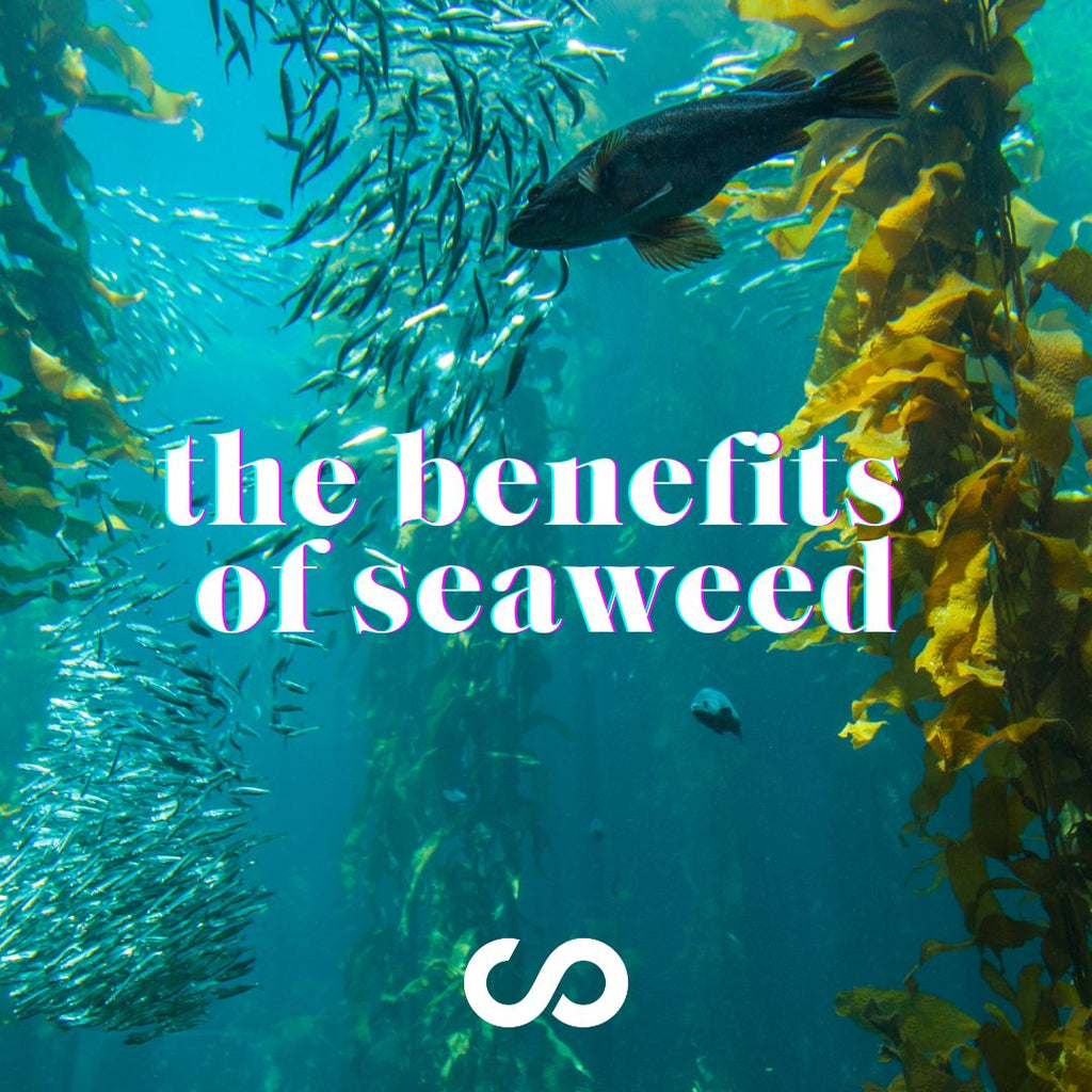 health benefits of BC seaweed, seaweed snacks