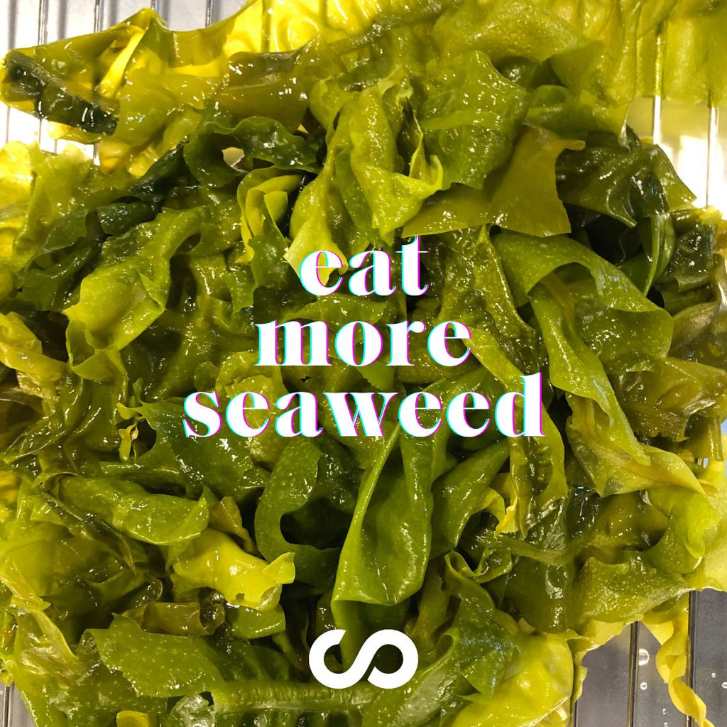 sustainable seaweed snacks, BC grown seaweed